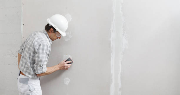 Best Mold Documentation for Insurance Claims  in Middlesex, NJ