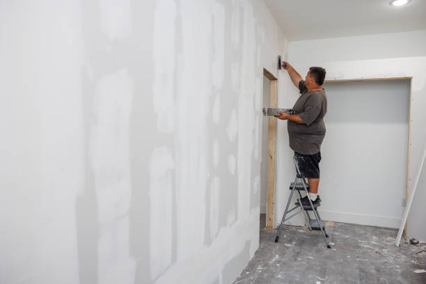 Best Mold Odor Removal Services  in Middlesex, NJ