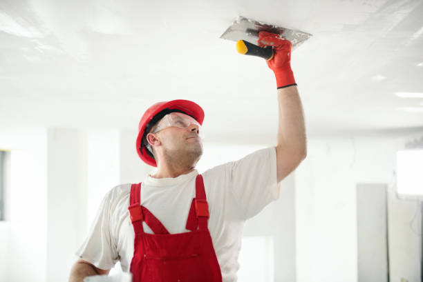 Best Commercial Mold Inspection  in Middlesex, NJ